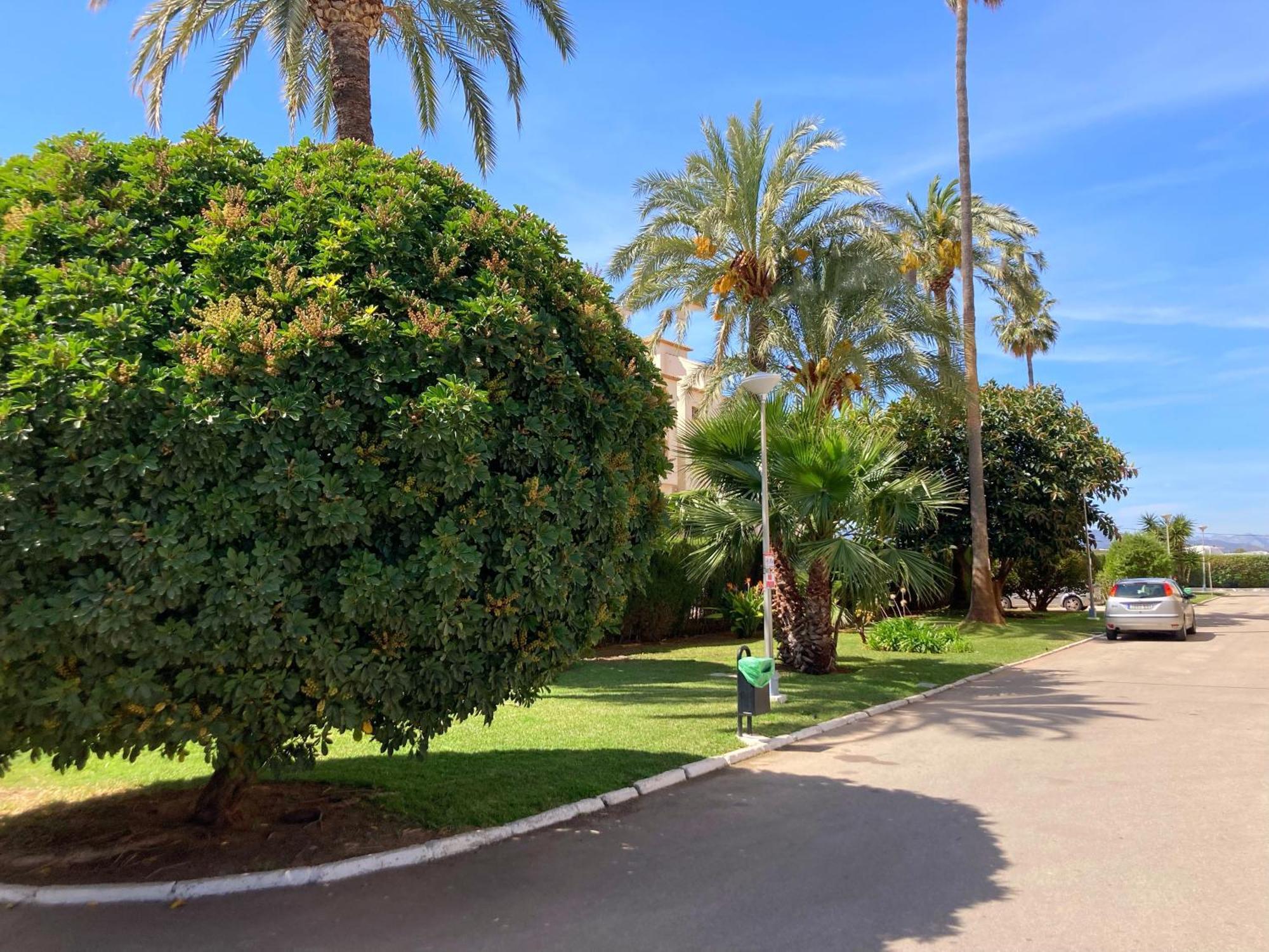 Apartamento Javea Arenal Playa エクステリア 写真